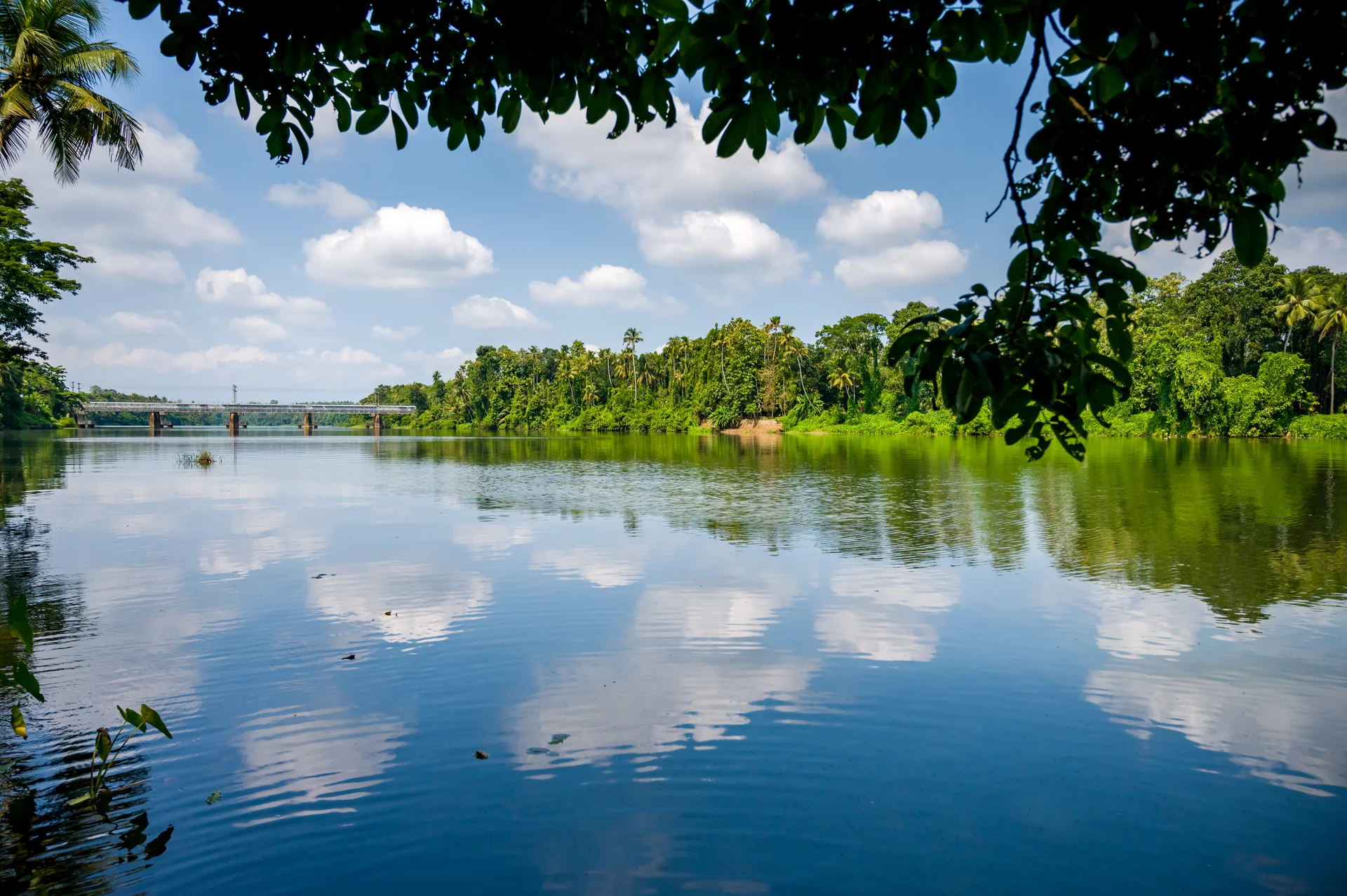 Kerala backwater view from My3 Heritage Homestay